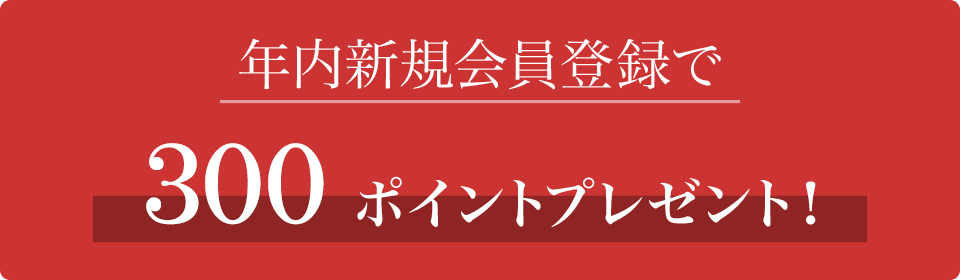 年内新規会員登録で500ポイントプレゼント